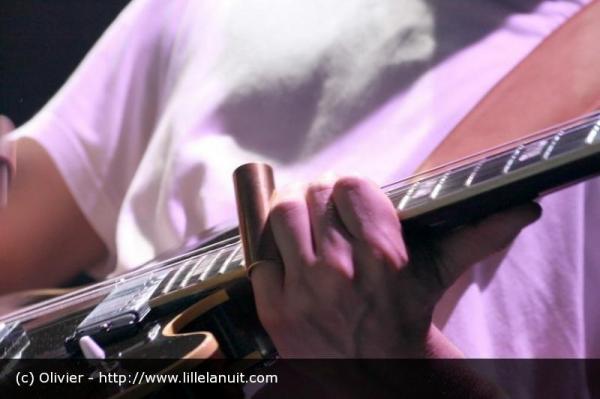 The Coral & Arctic Monkeys au zenith